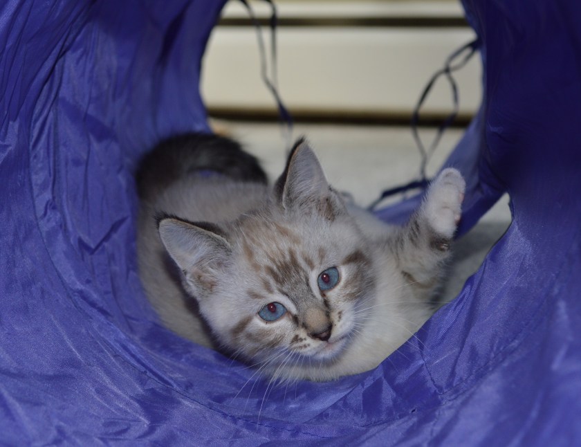 Playing in "The Tube"