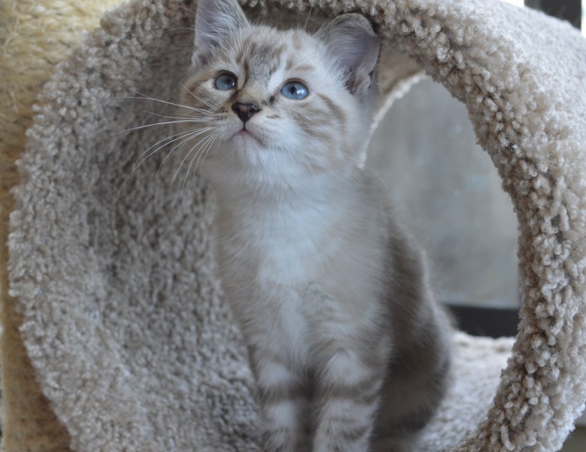 He may look sweet....